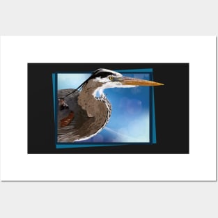 Blue heron Posters and Art